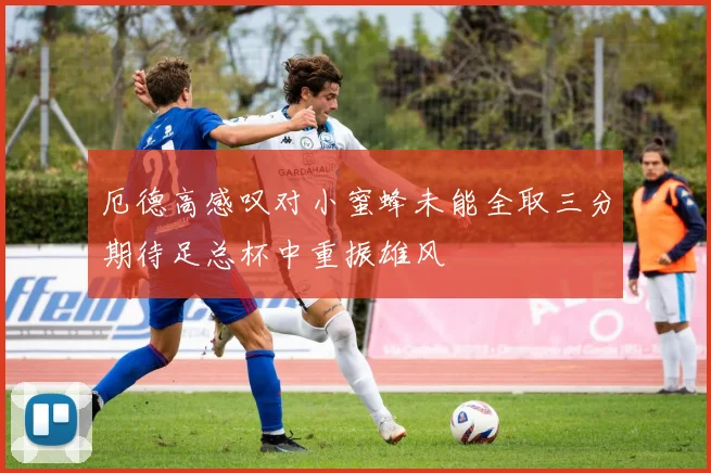 厄德高感叹对小蜜蜂未能全取三分期待足总杯中重振雄风