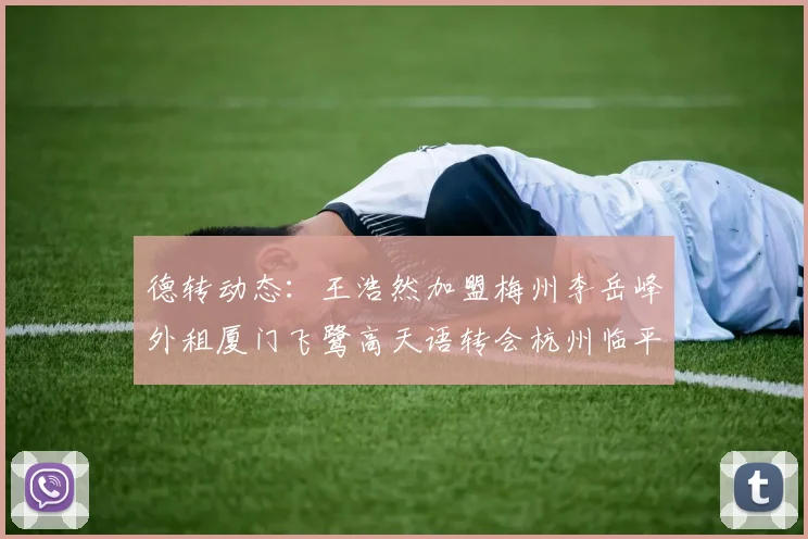 德转动态：王浩然加盟梅州李岳峰外租厦门飞鹭高天语转会杭州临平吴越